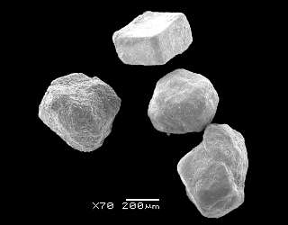 粉末透析剤（A剤）の電子顕微鏡写真